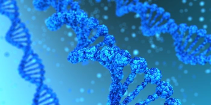 Mutacja genu MTHFR – prowadzi do rozwoju chorób cywilizacyjnych