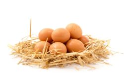 Ograniczasz spożycie jajek To zalecenie żywieniowe jest już nieaktualne